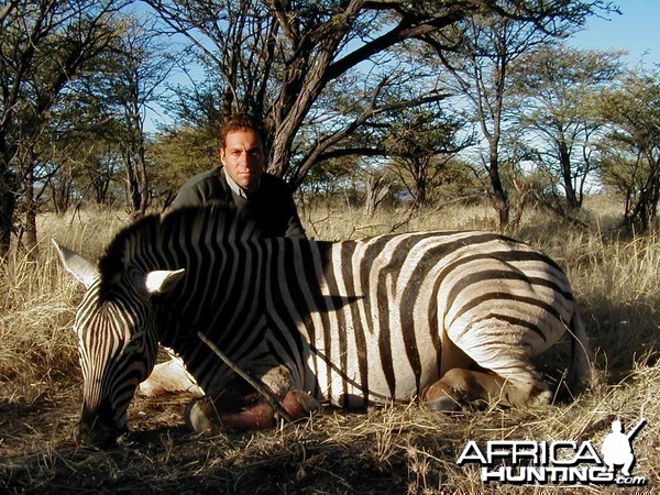 Hunting Burchell's Plain Zebra in Namibia