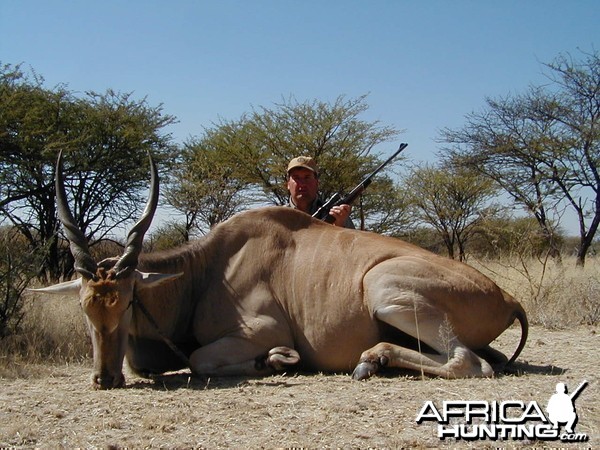 Hunting Cape Eland in Namibia