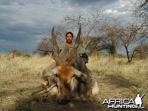 Hunting Cape Eland in Namibia