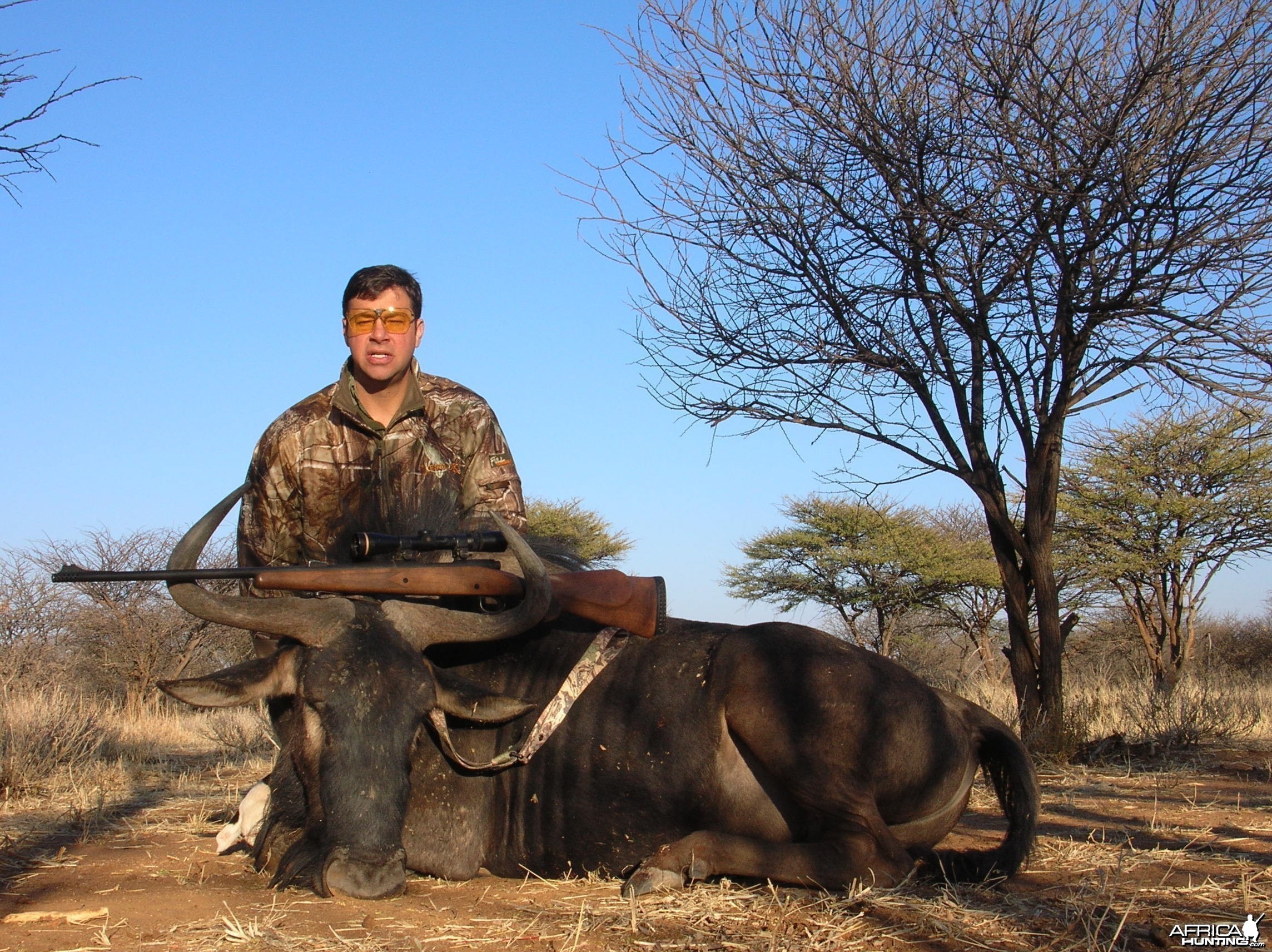 Hunting Blue Wildebeest in Namibia