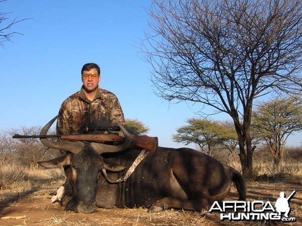 Hunting Blue Wildebeest in Namibia