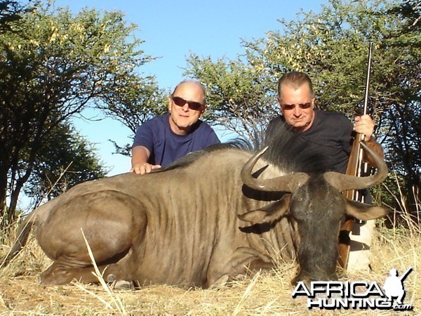 Hunting Blue Wildebeest in Namibia