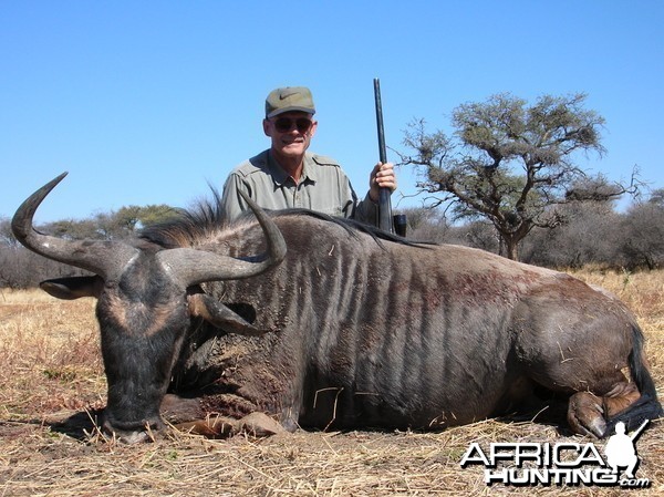 Hunting Blue Wildebeest in Namibia