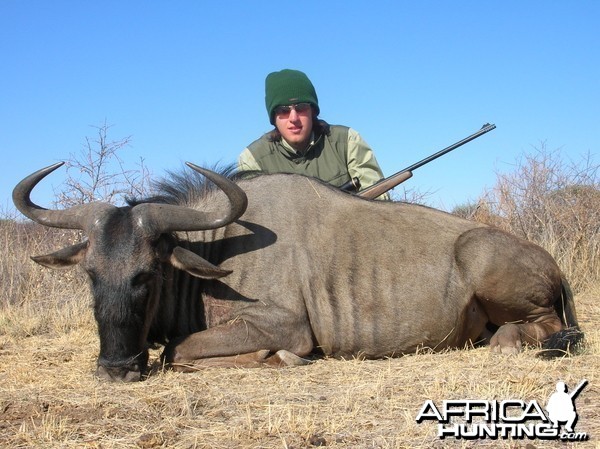 Hunting Blue Wildebeest in Namibia