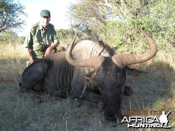 Hunting Blue Wildebeest in Namibia