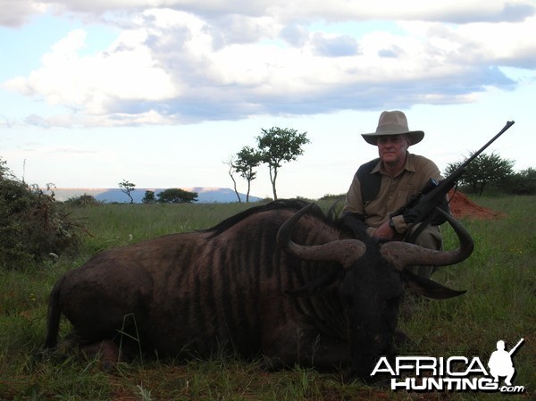 Hunting Blue Wildebeest in Namibia