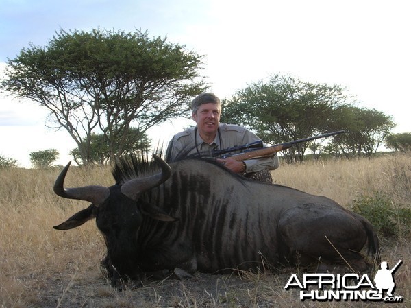 Hunting Blue Wildebeest in Namibia