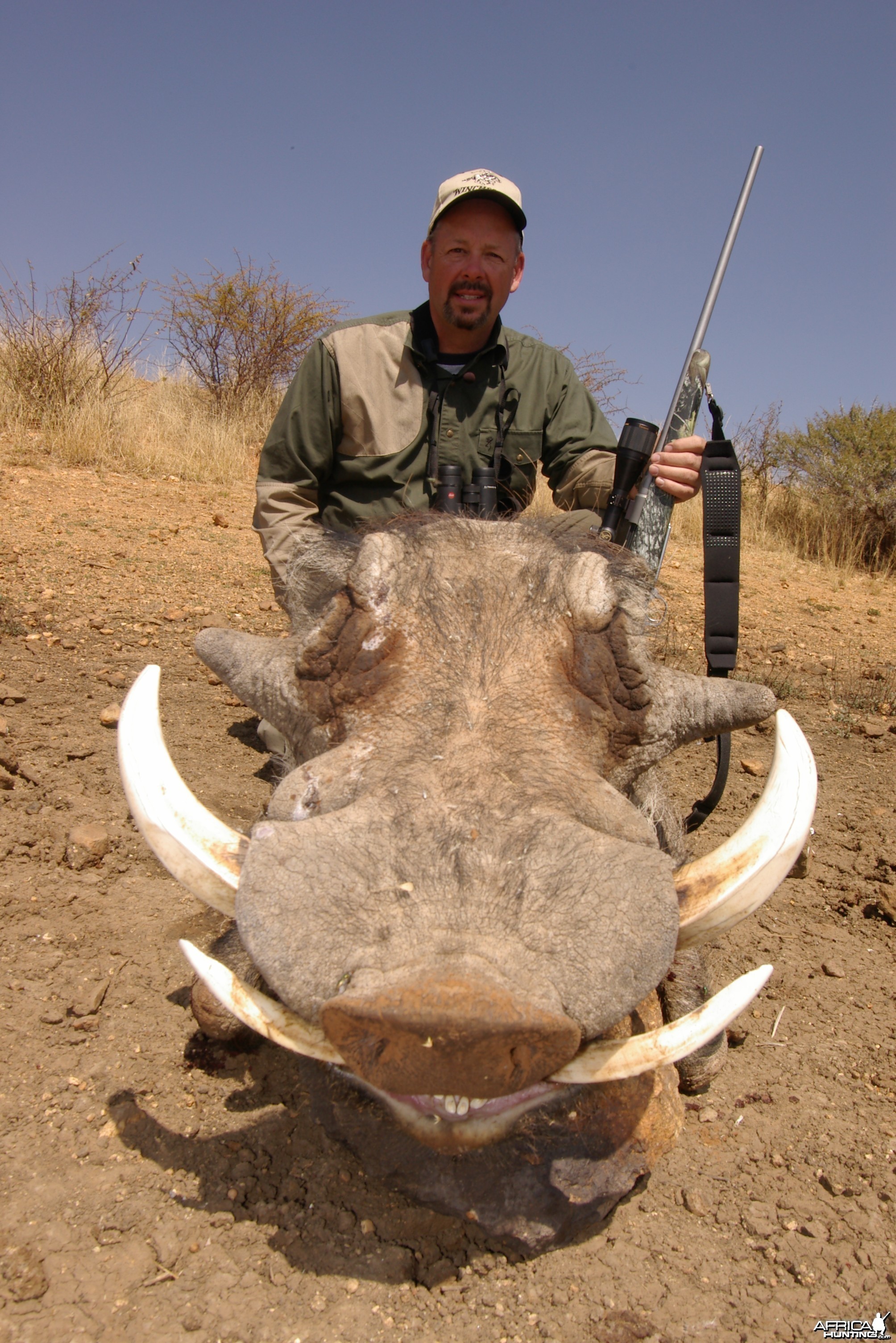 Hunting Warthog in Namibia