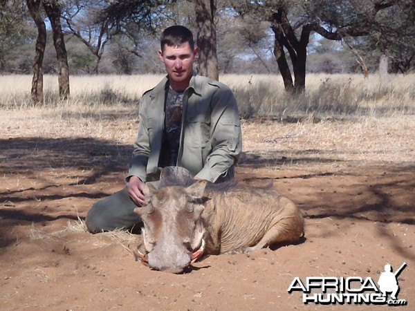 Hunting Warthog in Namibia