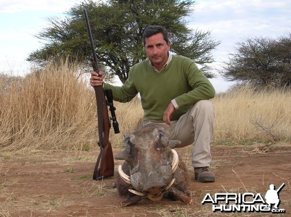 Hunting Warthog in Namibia