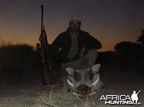 Hunting Warthog in Namibia