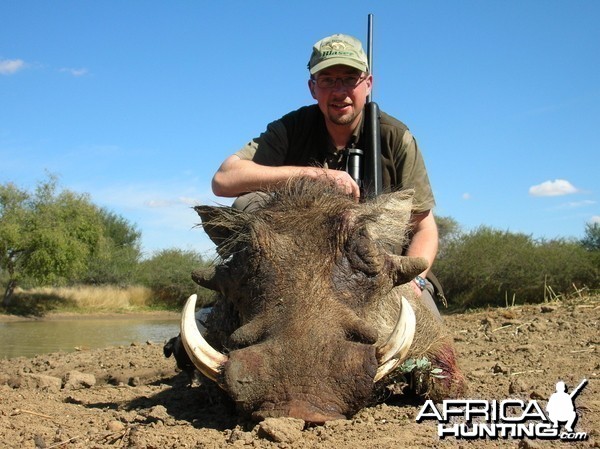 Hunting Warthog in Namibia