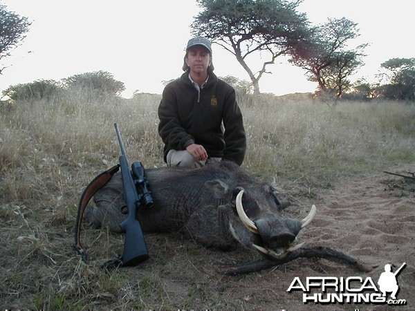 Hunting Warthog in Namibia