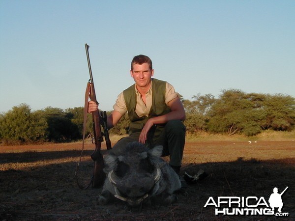 Hunting Warthog in Namibia