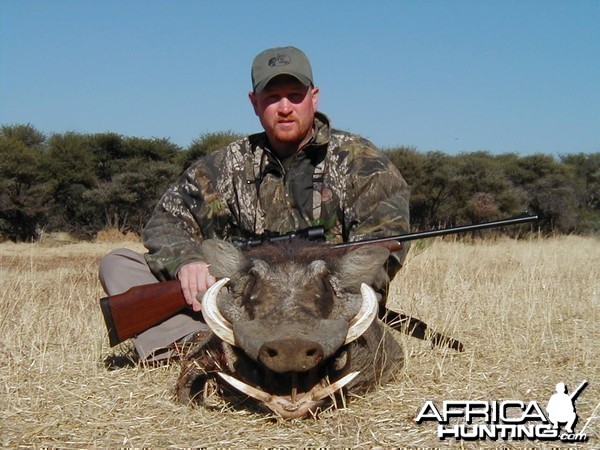 Hunting Warthog in Namibia