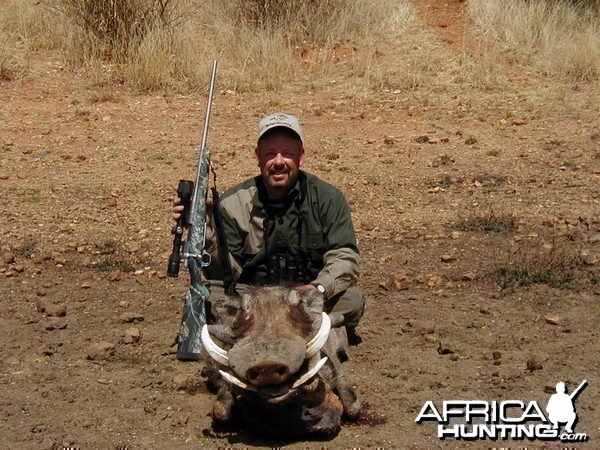 Hunting Warthog in Namibia