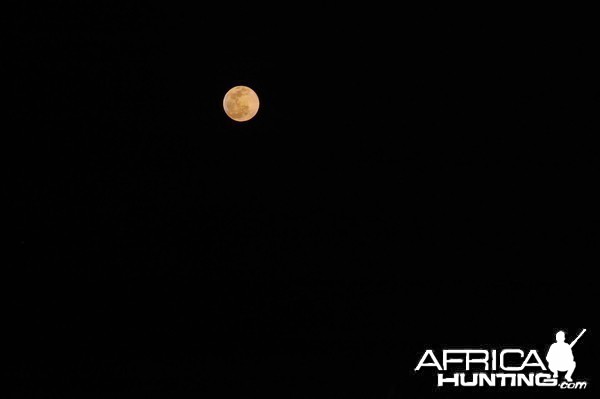 Moon Tanzania
