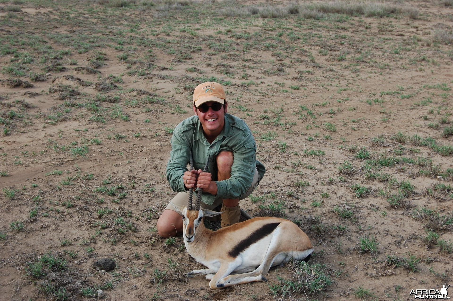 Gazelle Tanzania