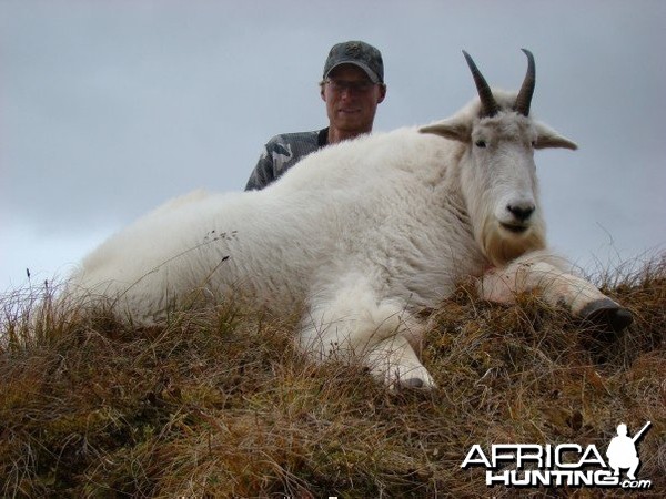 Hunting high alpine mountain goat