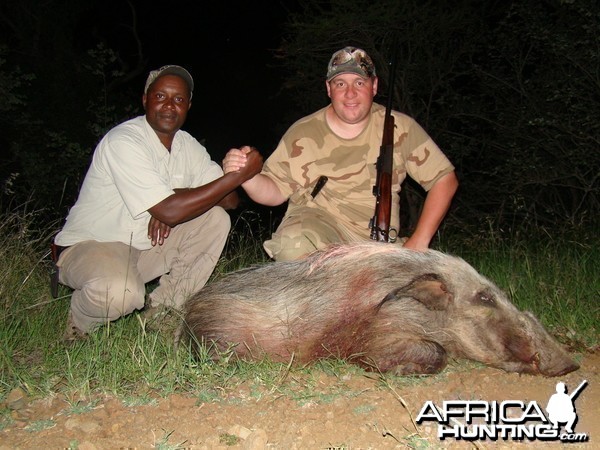 Hunting Bushpig