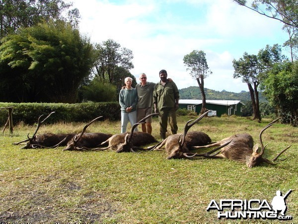 Hunting Rusa Deer Mauritius