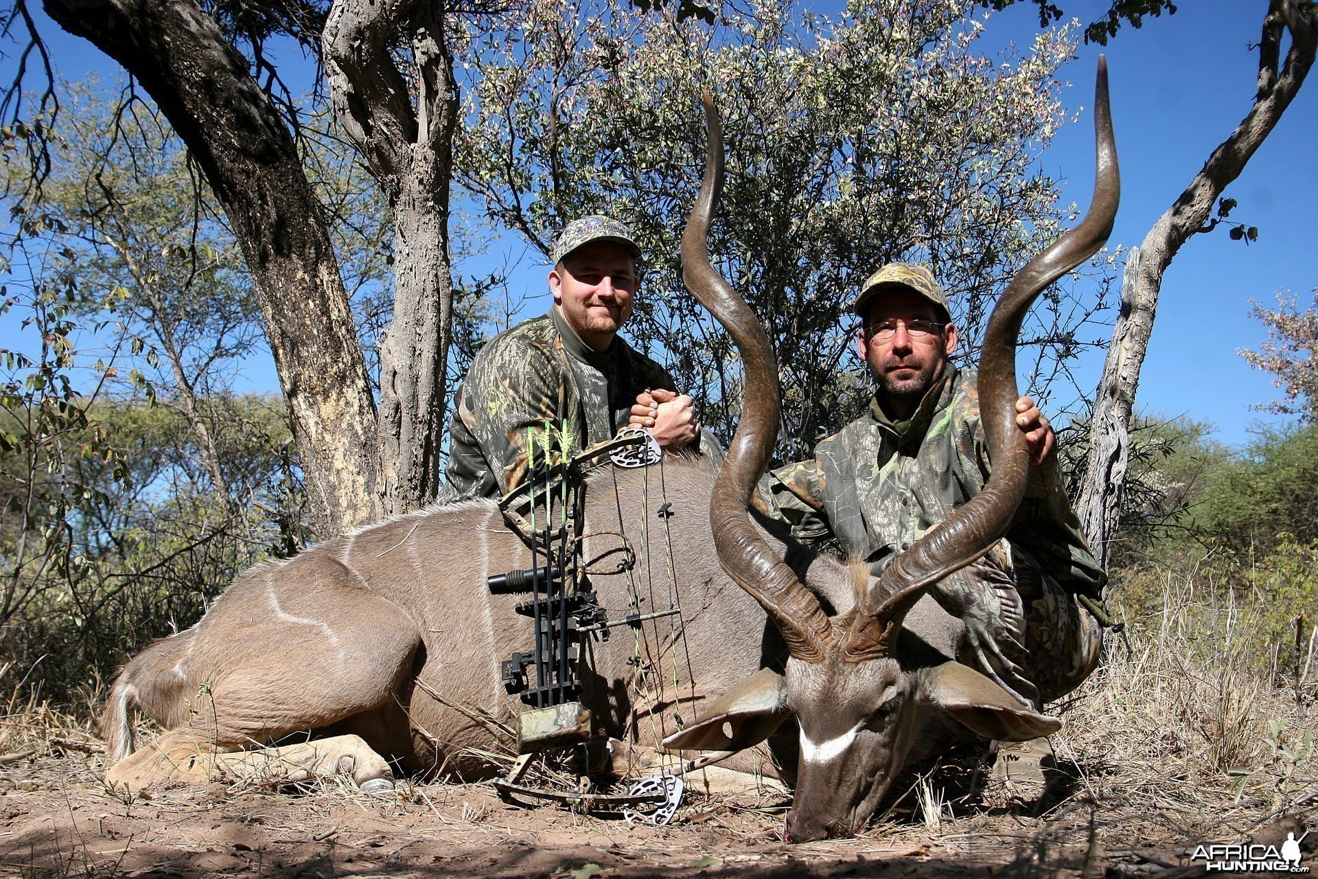 Bowhunting Kudu