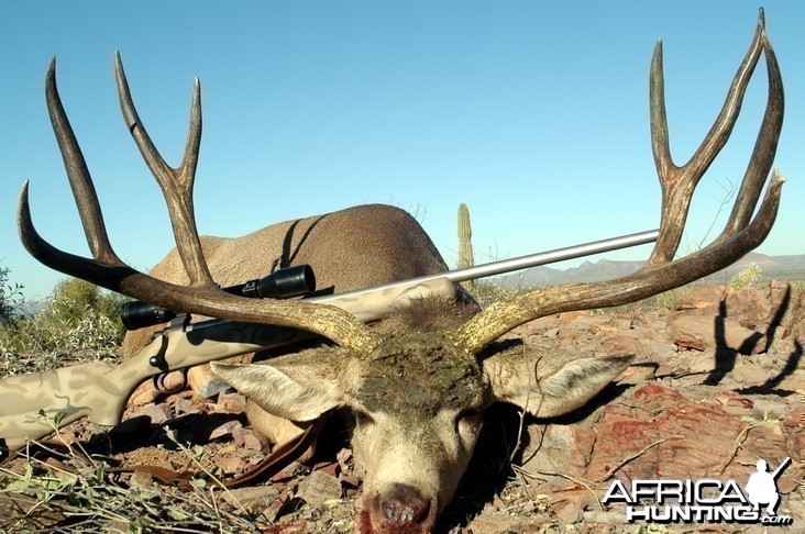 .338 Winchester Magnum