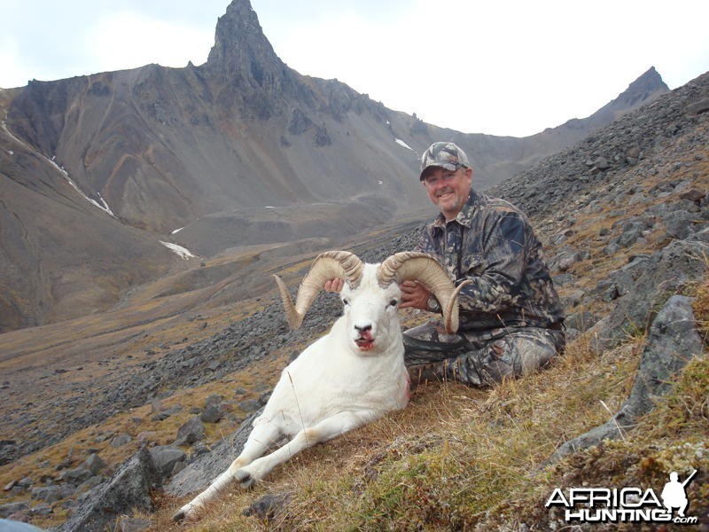 Alaskan Sheep Hunt