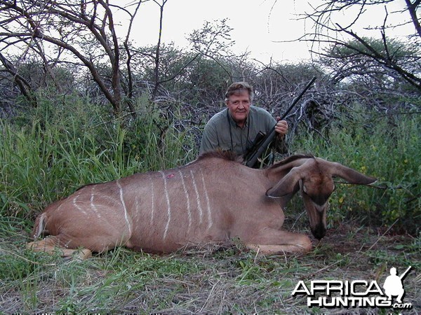 Hunting Greater Kudu Female in Namibia