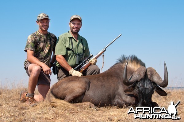 Hunting Black Wildebeest 2010 RSA