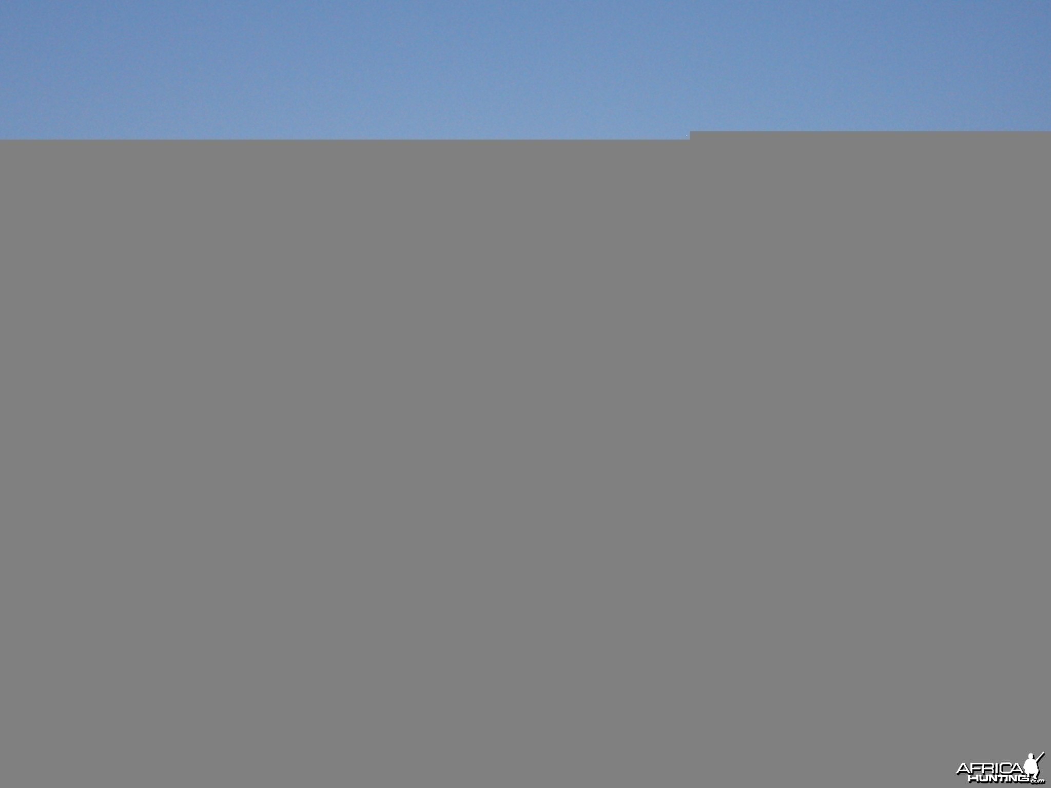 Hunting Blue Wildebeest in Namibia