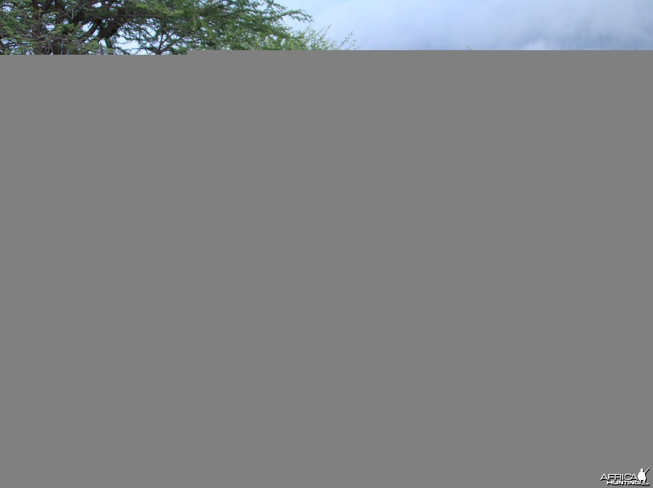 Hunting Gemsbok in Namibia