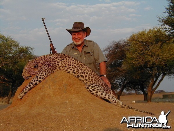 Hunting Leopard in Namibia