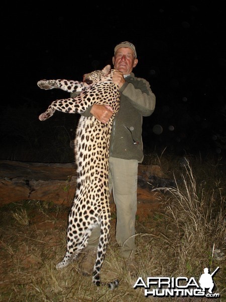 Hunting Leopard in Namibia