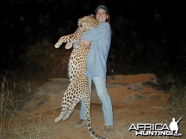 Hunting Leopard in Namibia