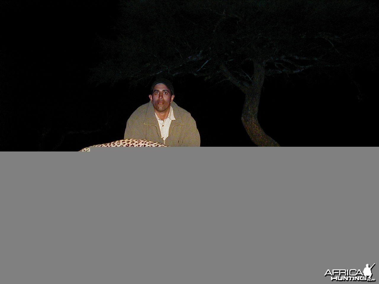 Hunting Leopard in Namibia