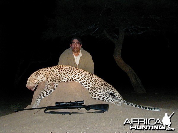 Hunting Leopard in Namibia