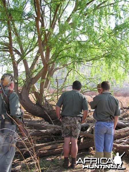 My Leopard Hunt with Motsomi Safaris in South Africa