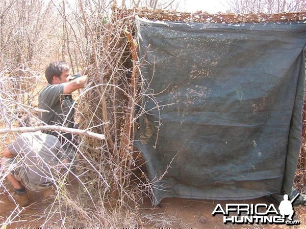 My Leopard Hunt with Motsomi Safaris in South Africa