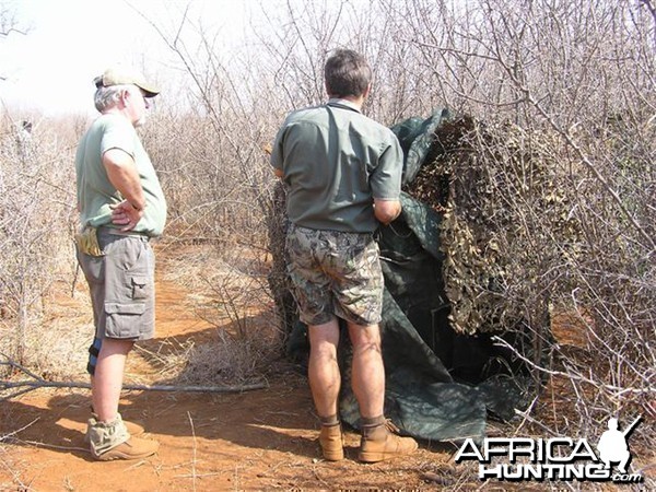 My Leopard Hunt with Motsomi Safaris in South Africa