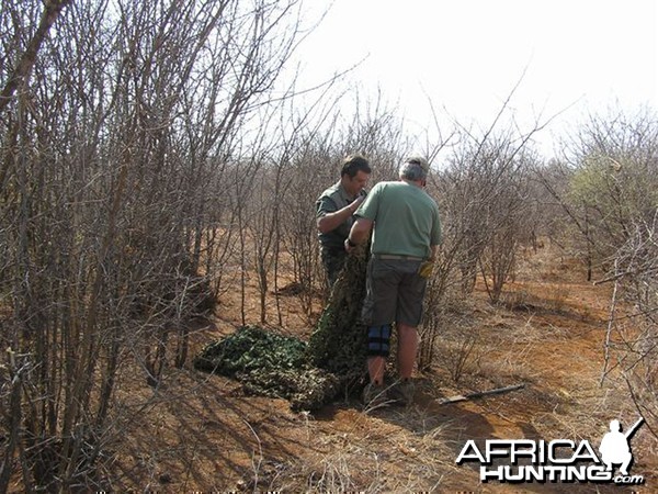 My Leopard Hunt with Motsomi Safaris in South Africa