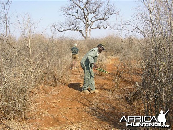 My Leopard Hunt with Motsomi Safaris in South Africa