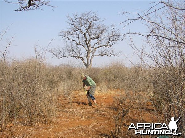 My Leopard Hunt with Motsomi Safaris in South Africa