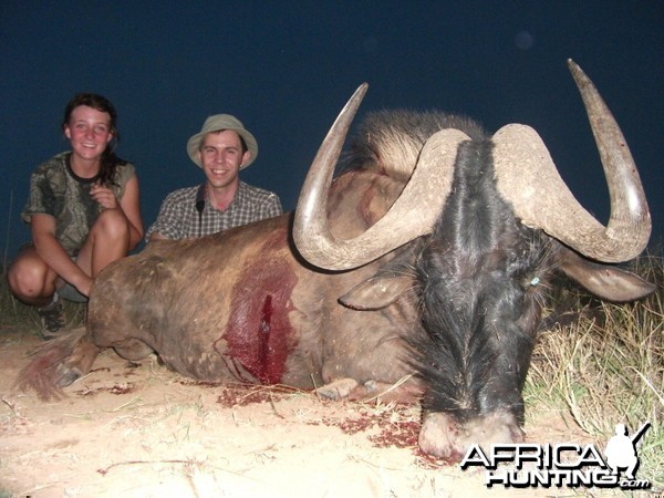 Mattias culling Black wildebeest