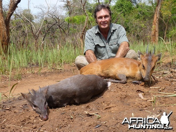 Red Flanked and Blue Duiker hunted in CAR