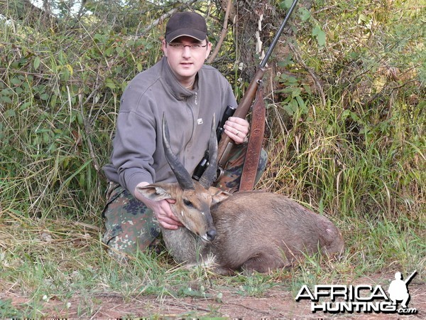 Bushbuck, RSA 2009