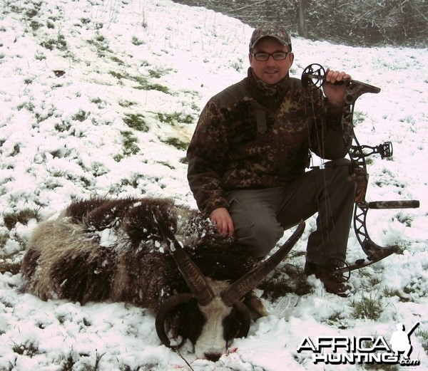 Bowhunting Four-horned sheep, 2010