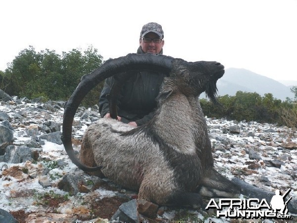 Hunting Bezoar ibex, Turkey 2010