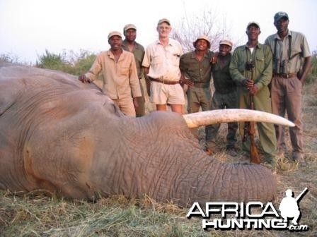60 pound elephant taken in Sengwe 1