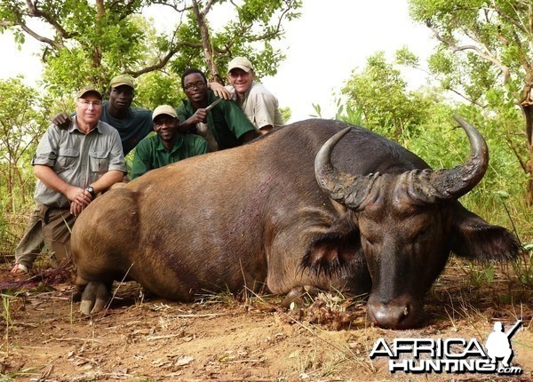 Hunting Buffalo in CAR